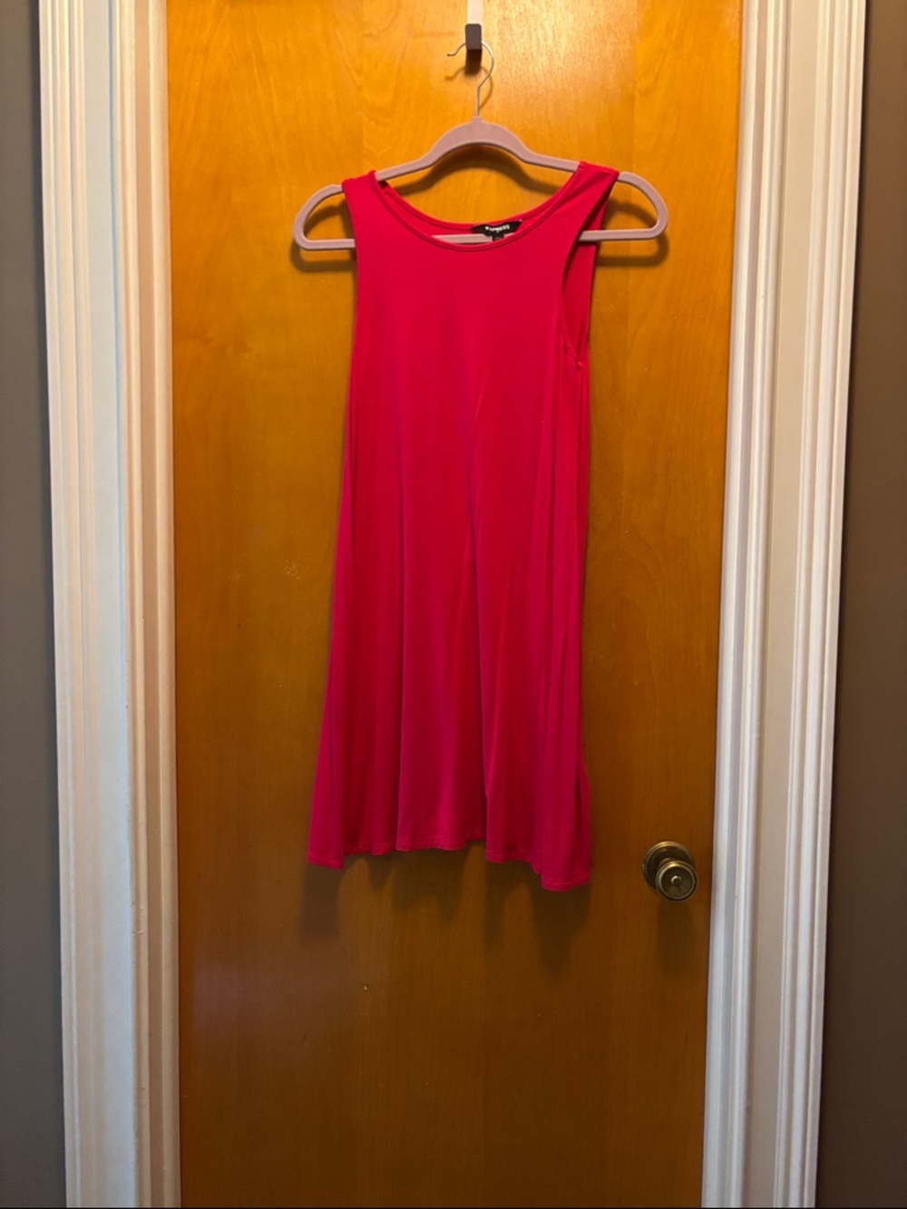 Express Vibrant Pink Sleeveless Swing Mini Dress